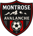 Club crest