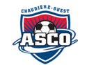 Club crest
