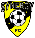 Club crest