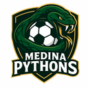 Club crest