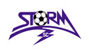 Club crest