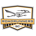 Club crest