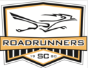 Club crest