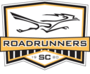 Club crest