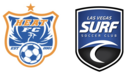 Club crest