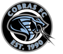 Club crest