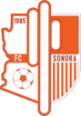 Club crest