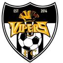 Club crest