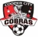 Club crest