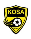 Club crest