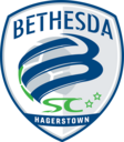 Club crest