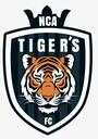 Club crest