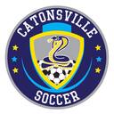 Club crest