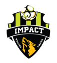 Club crest