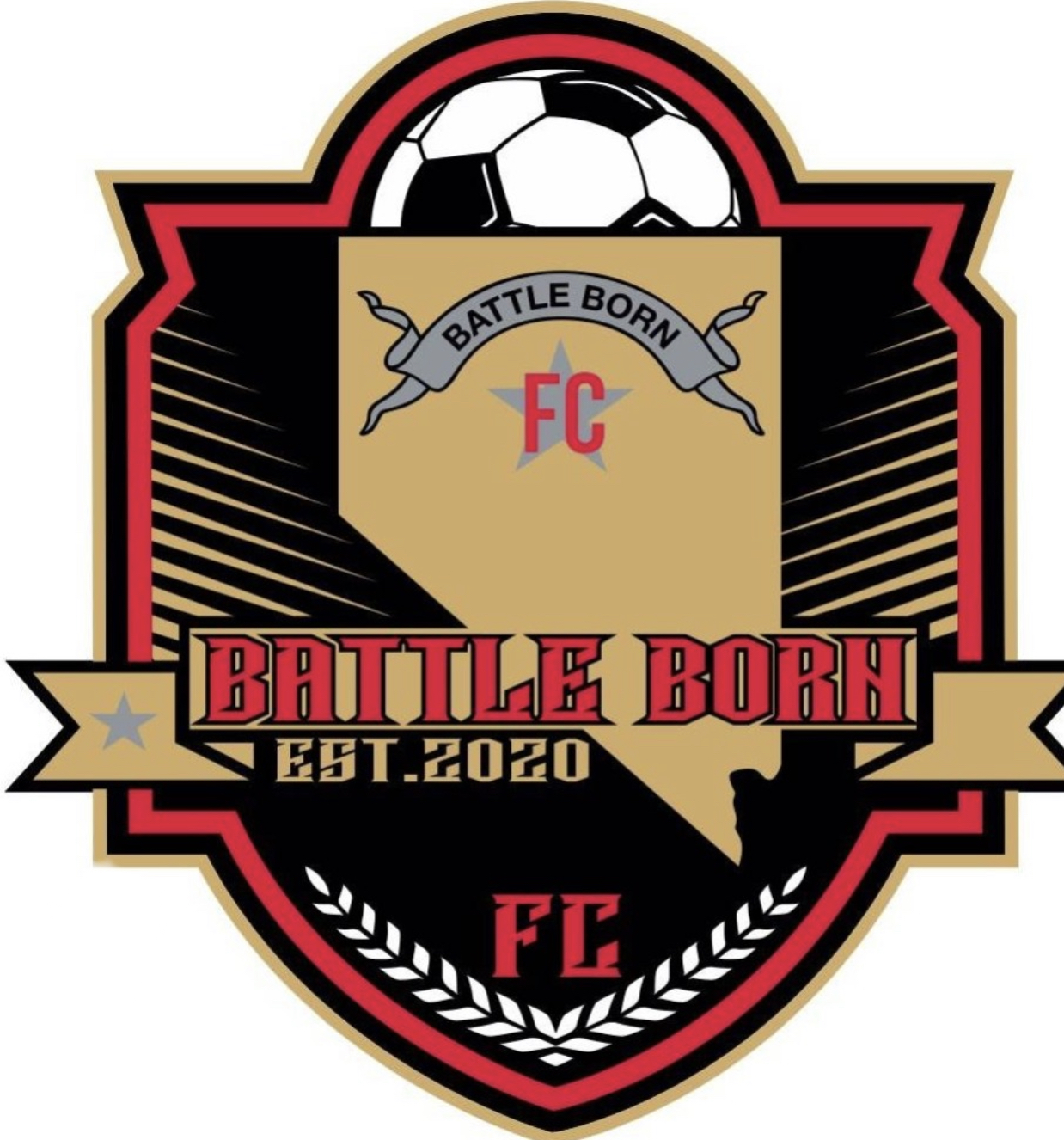 Club crest