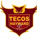 Club crest