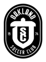 Club crest