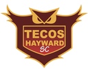 Club crest