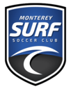 Club crest