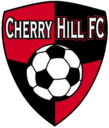 Club crest