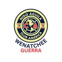 Club crest