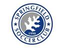 Club crest