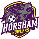 Club crest
