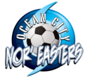 Club crest