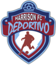 Club crest