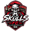 Club crest