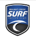 Club crest