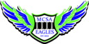 Club crest