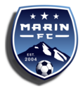 Club crest