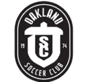 Club crest