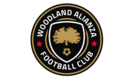 Club crest
