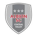 Club crest