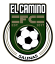 Club crest