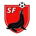 Club crest