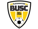 Club crest
