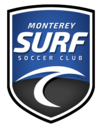 Club crest