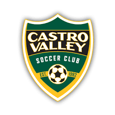 Club crest