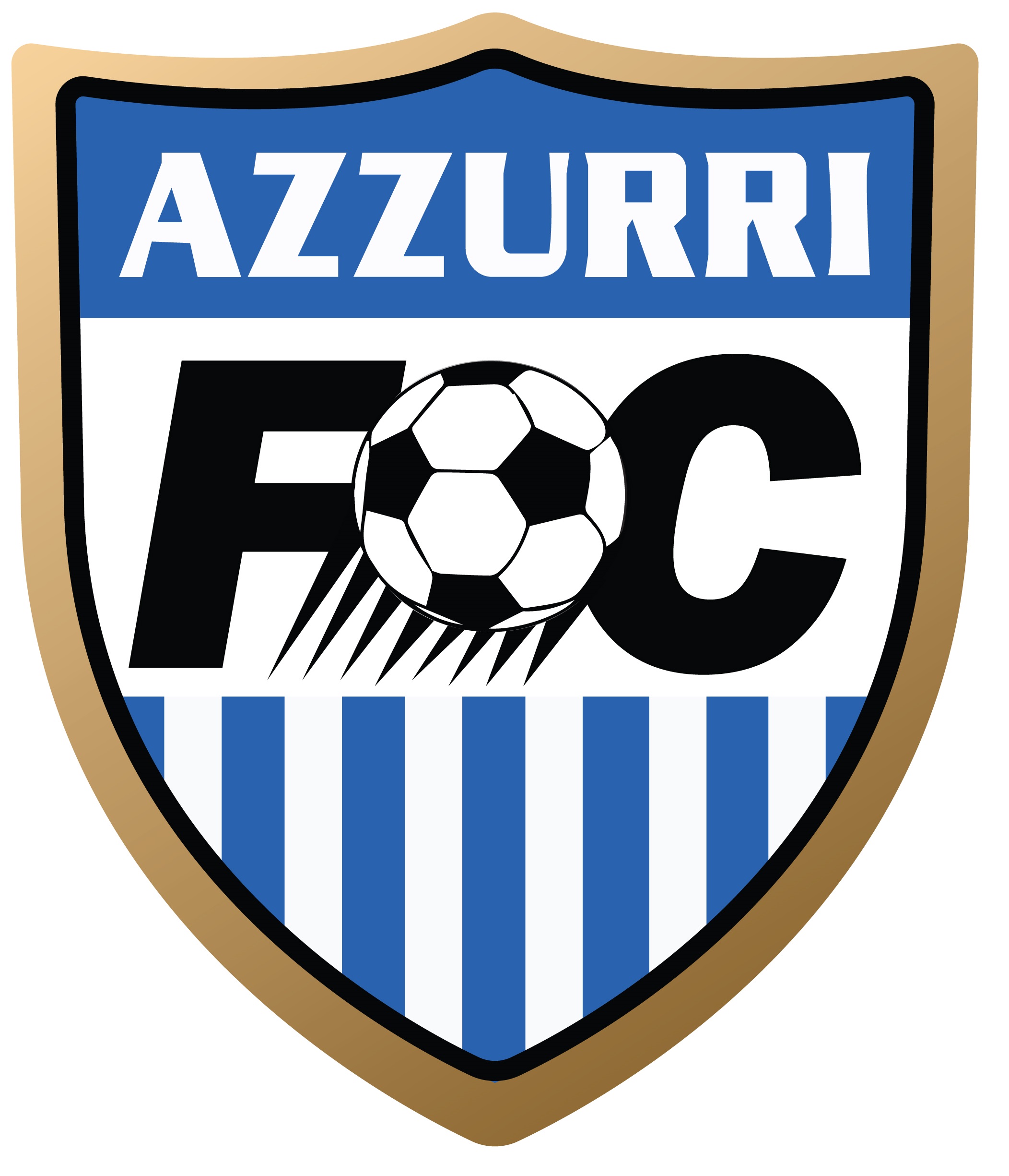 Club crest