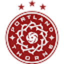 Club crest