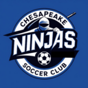 Club crest