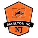 Club crest