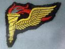 Club crest