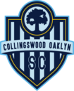 Club crest