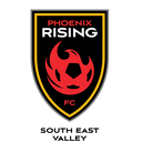 Club crest