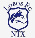 Club crest