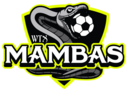 Club crest